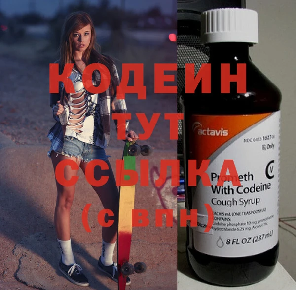 стаф Алзамай