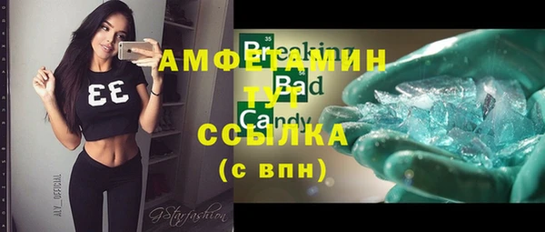 стаф Алзамай