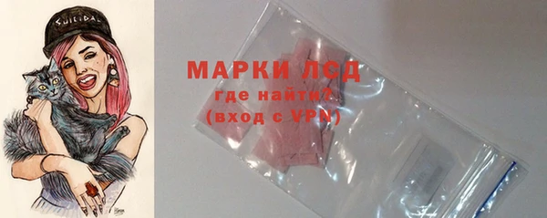 стаф Алзамай