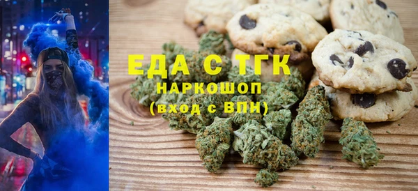 стаф Алзамай