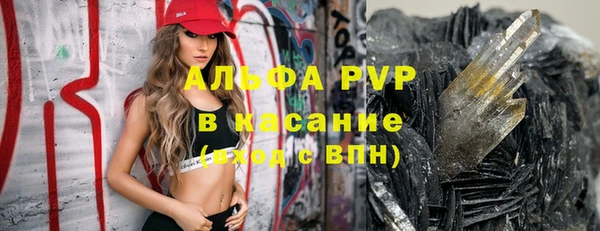 стаф Алзамай