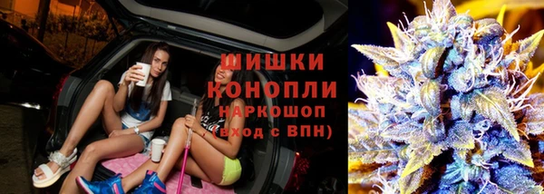 стаф Алзамай
