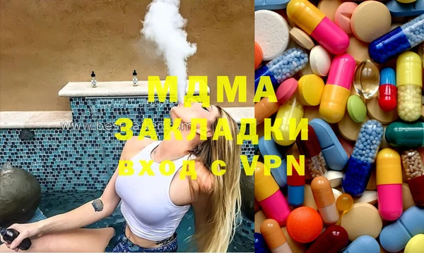 стаф Алзамай