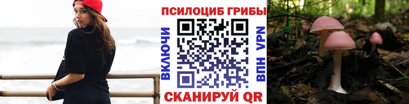Галлюциногенные грибы Cubensis  darknet клад  Зеленоградск 